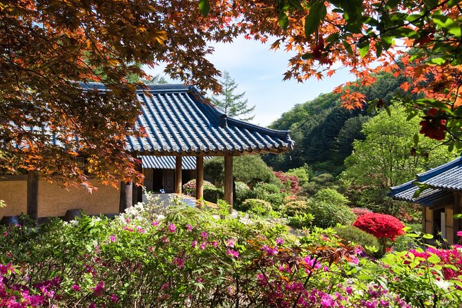 Day Trip to Nami Island with The Garden of Morning Calm - Why this day trip works beyond Seoul