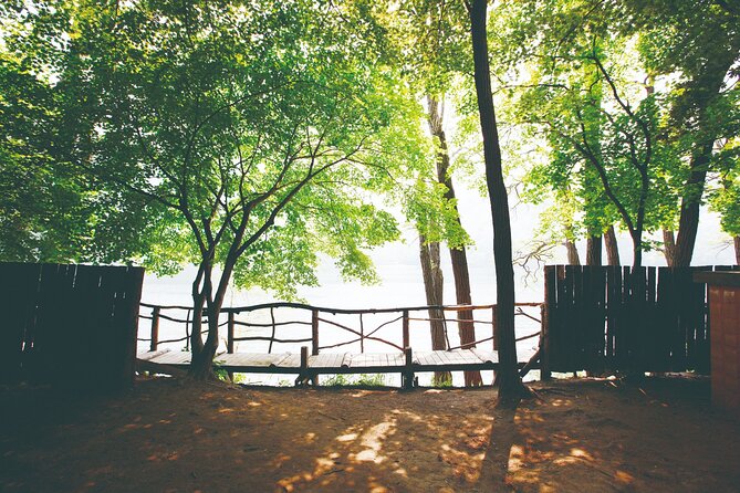 Day Trip to Nami Island with The Garden of Morning Calm - The Garden of Morning Calm: a slower two-hour walk