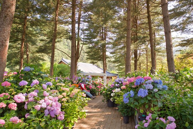 Day Trip to Nami Island with The Garden of Morning Calm - Season, crowds, and the best time to book