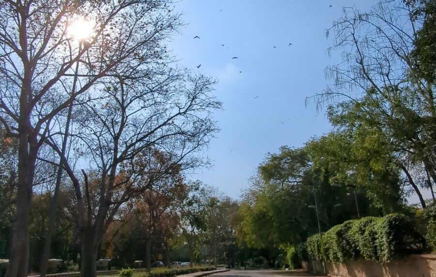 Delhi: Yoga in Lodhi Garden - Safety, comfort, and who will enjoy it most