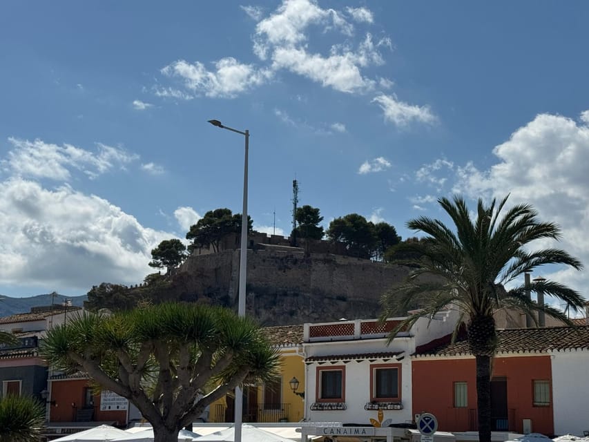 Denia and Mediterranean Gardens Day Trip - Why pair a garden with Denia?