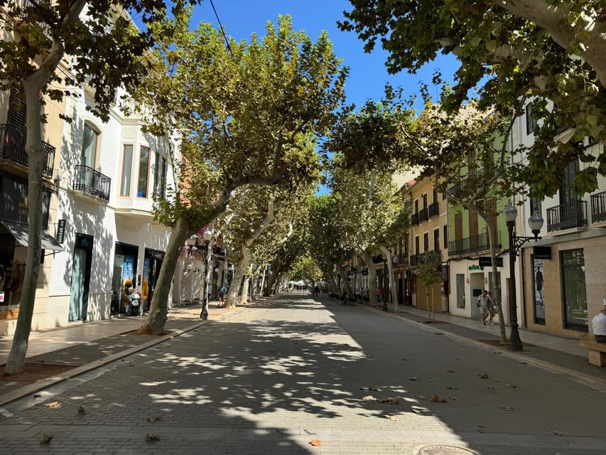 Denia and Mediterranean Gardens Day Trip - Denia’s port, old town, and castle