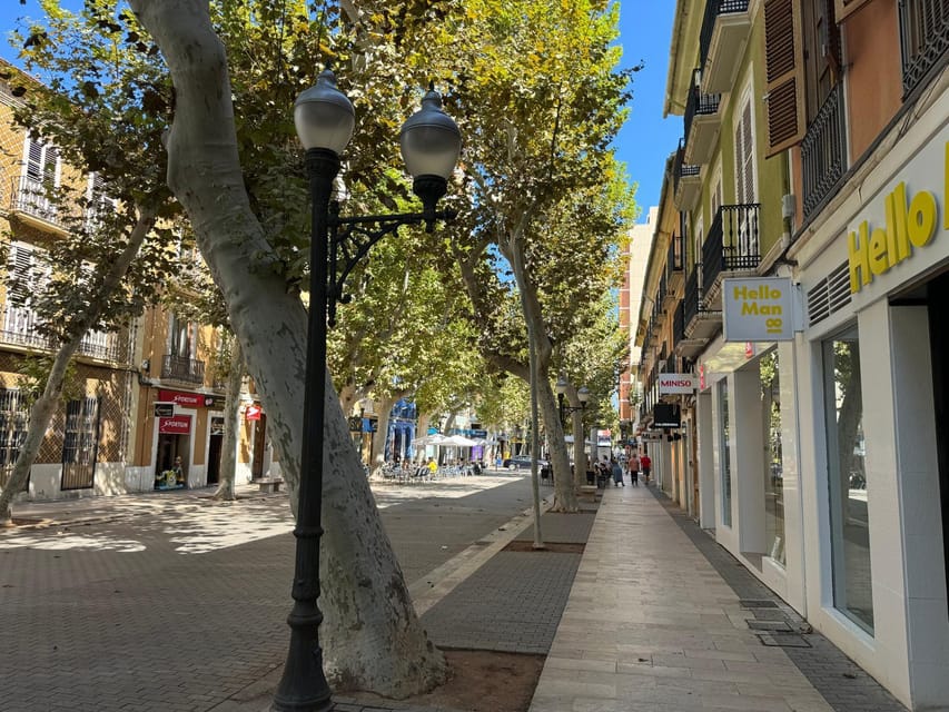 Denia and Mediterranean Gardens Day Trip - Should you book the Denia and Mediterranean Gardens trip?