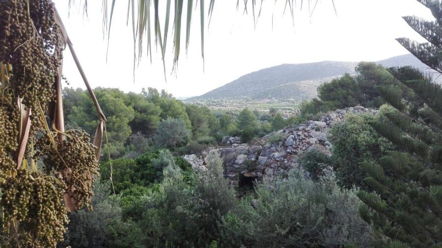 Denia: L'Albarda Garden Entry Ticket - Is the garden suitable for you?
