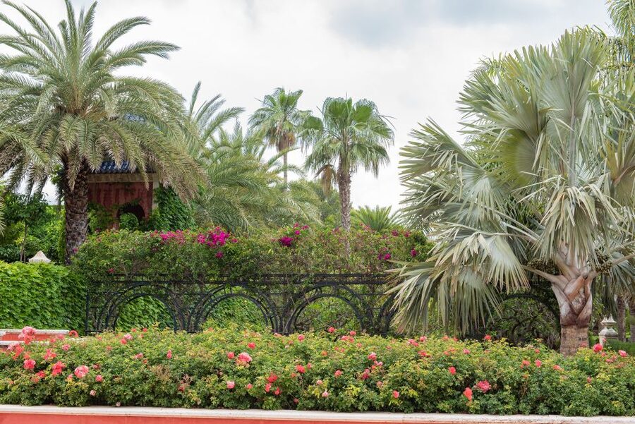 Denia: L'Albarda Garden Entry Ticket - Take your time with the mountain views