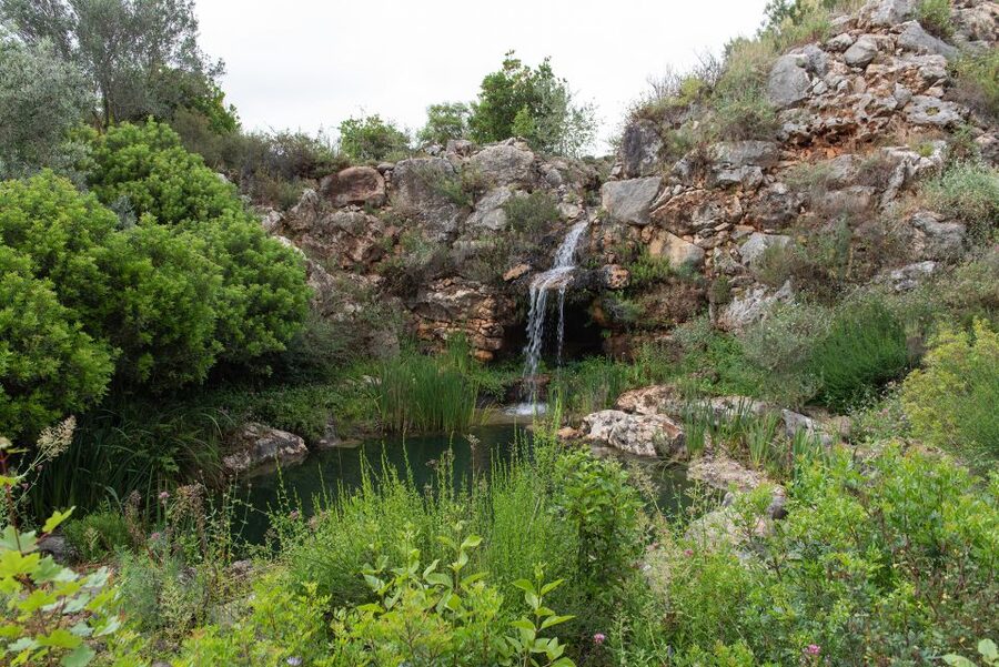 Denia: L'Albarda Garden Entry Ticket - Start at the main house and formal garden