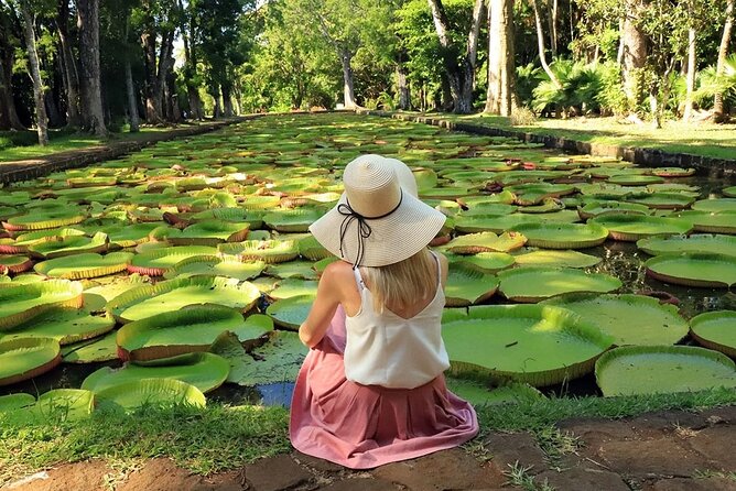 Discovering the North of Mauritius: Full-day incl Botanical garden & lunch - Blue Penny Museum tells Mauritius through objects