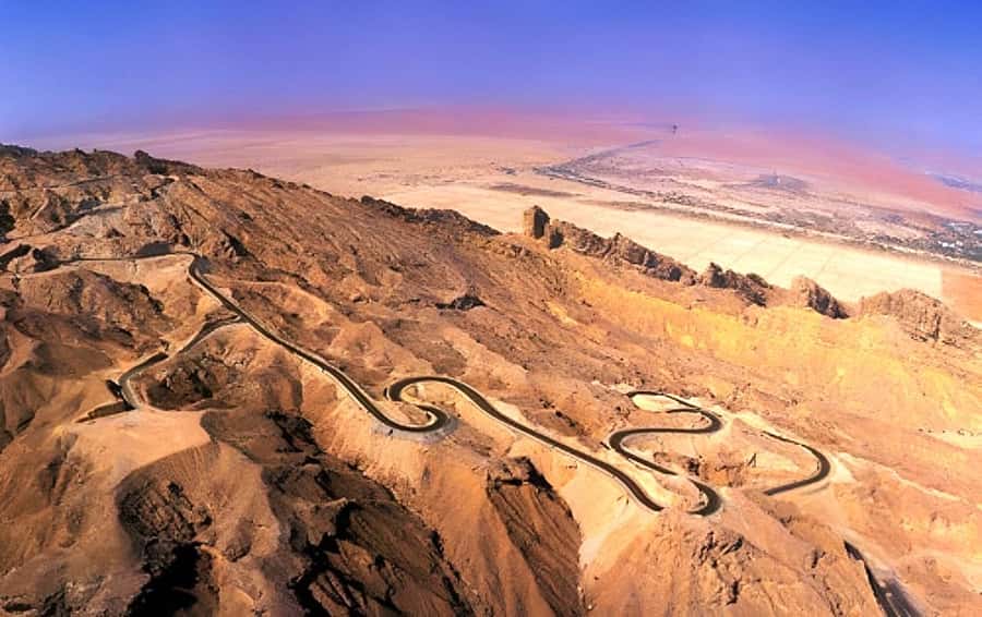Dubai: Al Ain Garden City with Conservation Zoo - The camel market and a direct look at local commerce