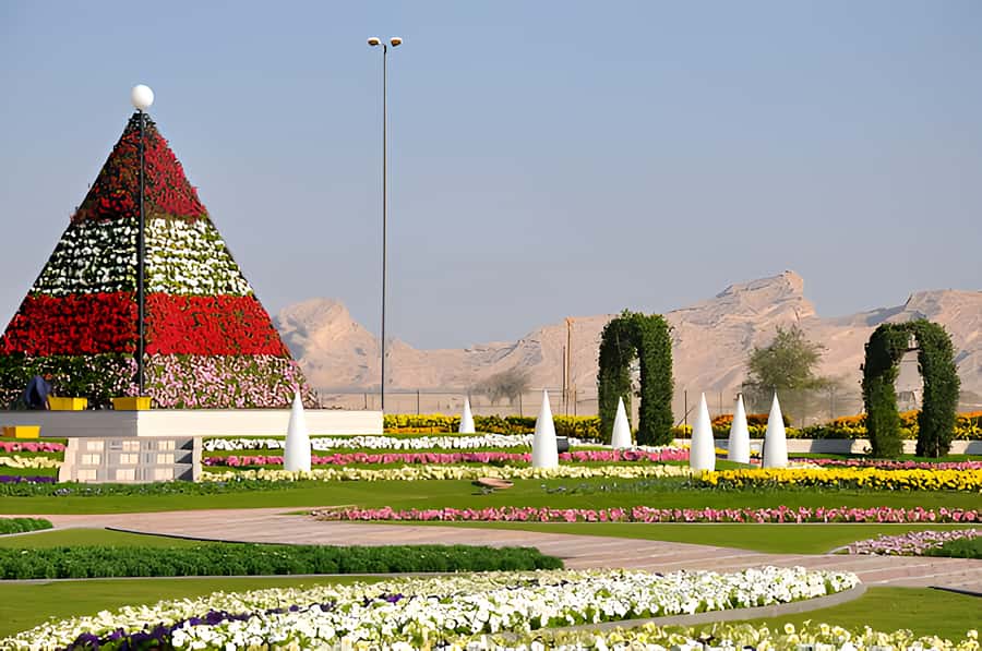 Dubai: Al Ain Garden City with Conservation Zoo - What you can realistically see at Al Ain Zoo