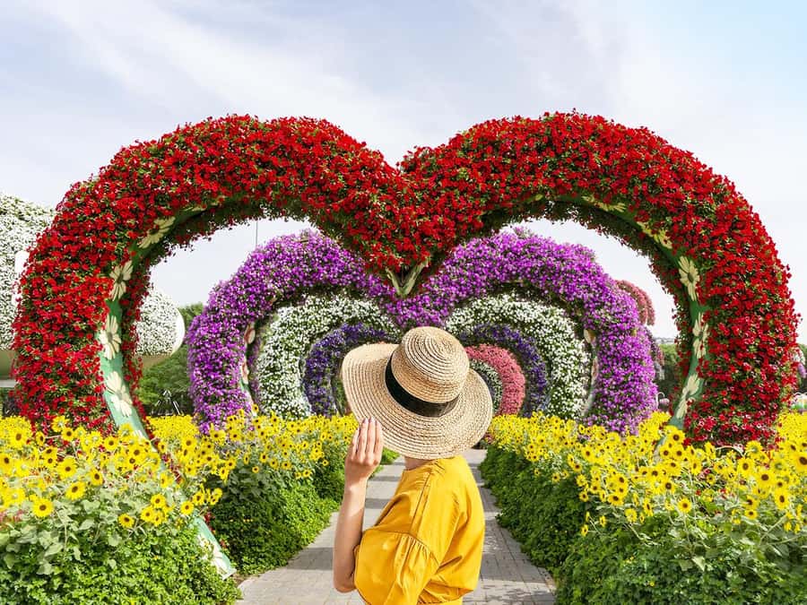 Dubai: Miracle Garden Entry Ticket with Hotel Transfer - What this Dubai flower garden is really like