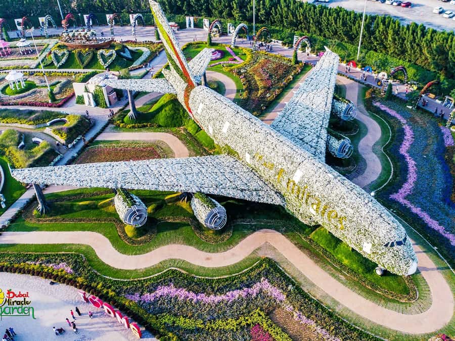 Dubai: Miracle Garden Entry Ticket with Hotel Transfer - Entering the garden and finding your pace