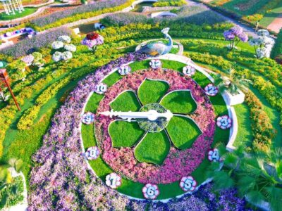 Miracle Garden Entry Ticket with Hotel Transfer