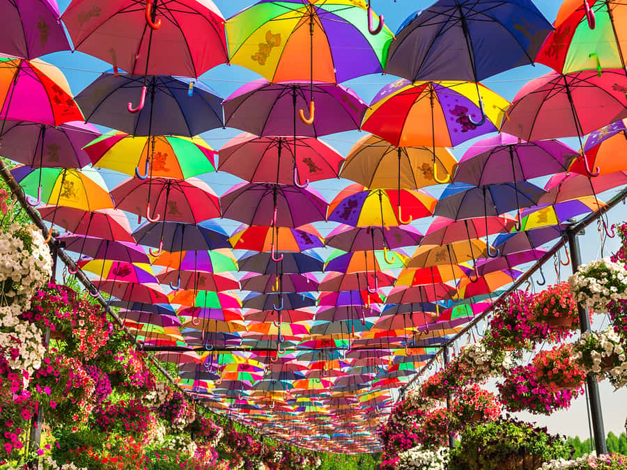 Dubai: Miracle Garden Entry Ticket with Hotel Transfer - The Airbus A380 and the biggest displays