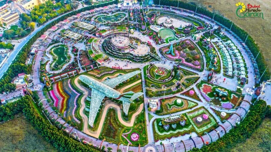Dubai: Miracle Garden, Global Village, and Dubai Frame - Miracle Garden: flowers arranged for the camera