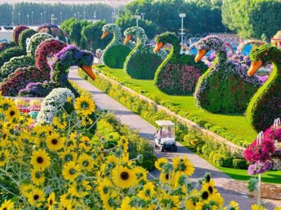 Miracle Garden, Global Village, and Dubai Frame