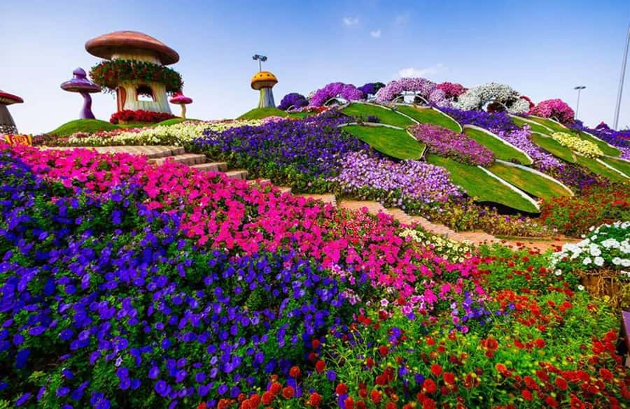 Dubai: Miracle Garden, Global Village, and Dubai Frame - Cancellation and booking details worth knowing