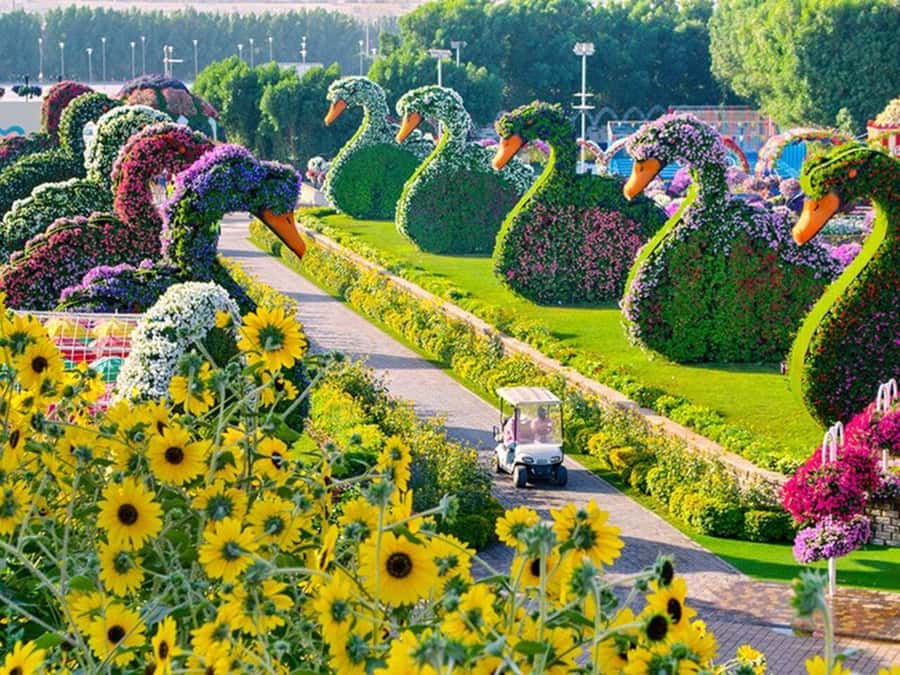 Dubai: Miracle Garden, Global Village, and Dubai Frame - Dubai Frame: check what your booking includes