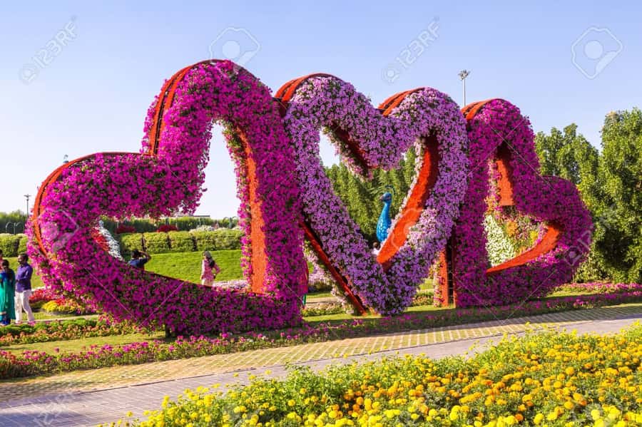 Dubai: Private Miracle Garden & Global Village Trip - Miracle Garden and Its Flower-Covered A380