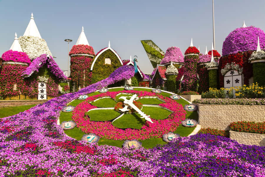 Dubai: Private Miracle Garden & Global Village Trip - How the Six Hours Usually Work