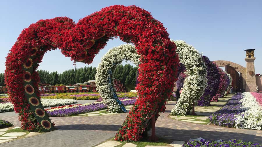 Dubai: Private Miracle Garden & Global Village Trip - Global Village After Dark