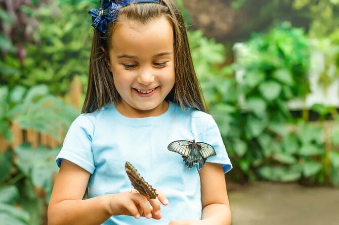 Dubai: Skip-The-Line Ticket to Butterfly Garden - Seeing a butterfly land on your hand