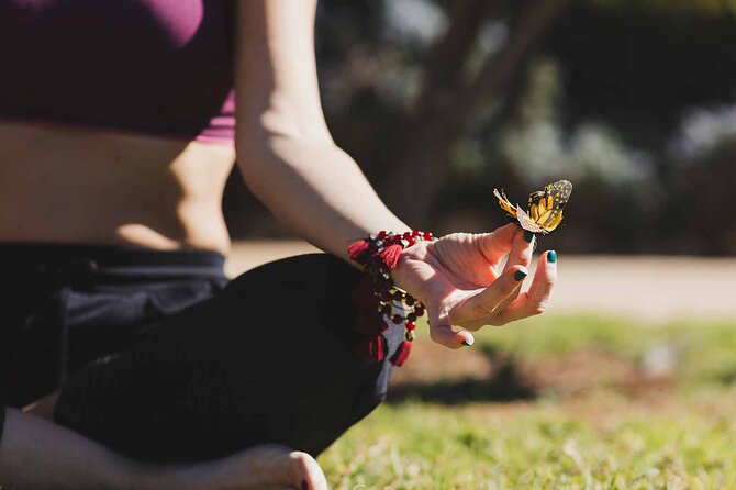 Dubai: Skip-The-Line Ticket to Butterfly Garden - Koi pond, cinema, and the family extras