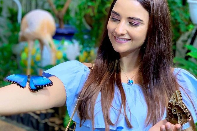 Dubai: Skip-The-Line Ticket to Butterfly Garden - Comfort in Dubai’s heat