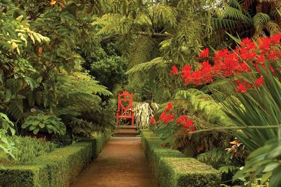 Dunedin: Larnach Castle & Gardens Admission Ticket - The historic tower and Otago Peninsula views