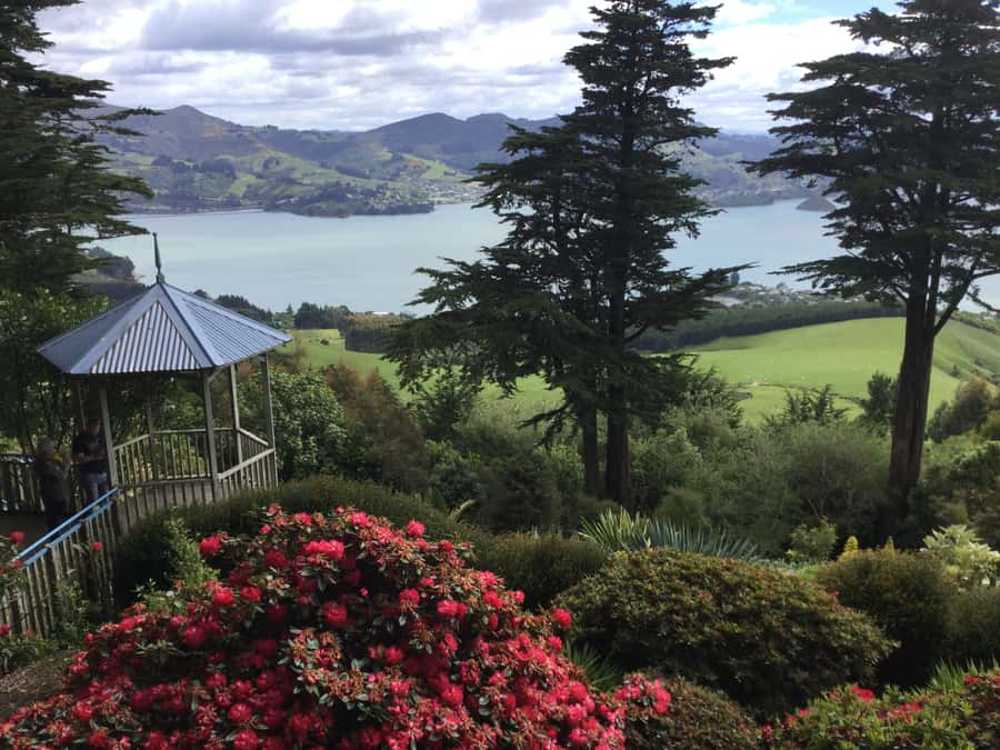 Dunedin: Peninsula with Lanarch Castle gardens & Olveston - A six-hour introduction to Dunedin