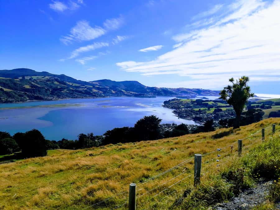 Dunedin: Peninsula with Lanarch Castle gardens & Olveston - University, First Church, and the Railway Station