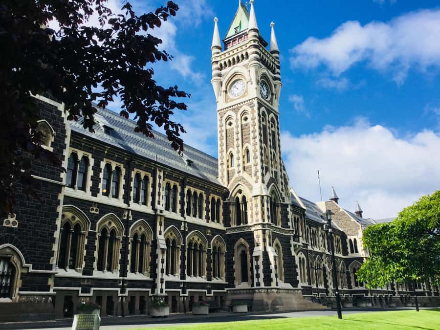 Dunedin: Peninsula with Lanarch Castle gardens & Olveston - Larnach Castle Gardens and the extra castle option