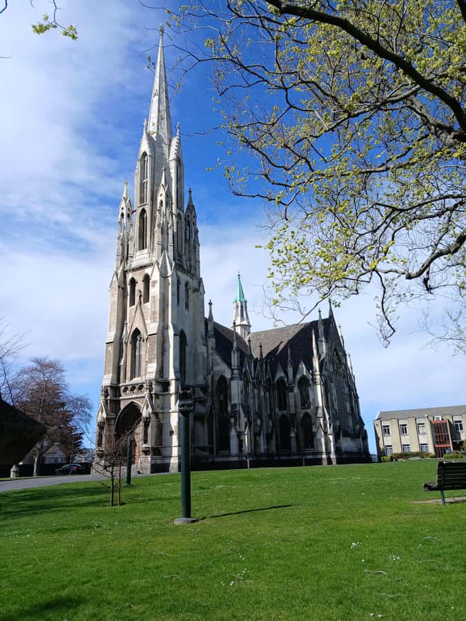 Dunedin: Peninsula with Lanarch Castle gardens & Olveston - Timing, comfort, and who should book