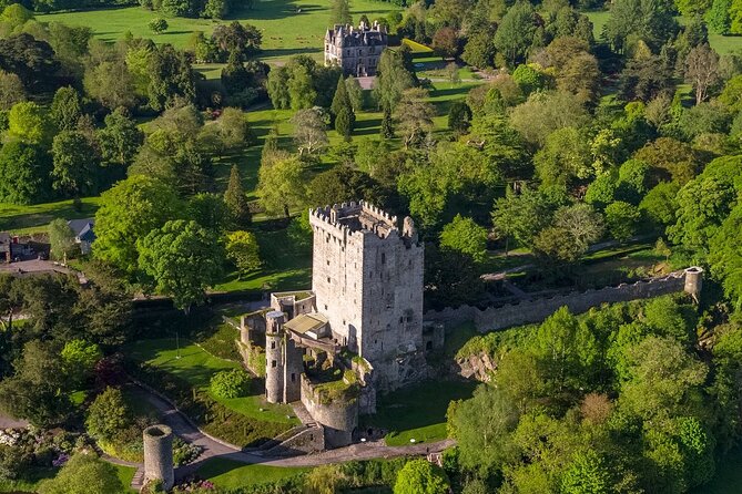 Easy Access Blarney Stone and Castle Gardens Tour - Who will get the most from the $71.35 price