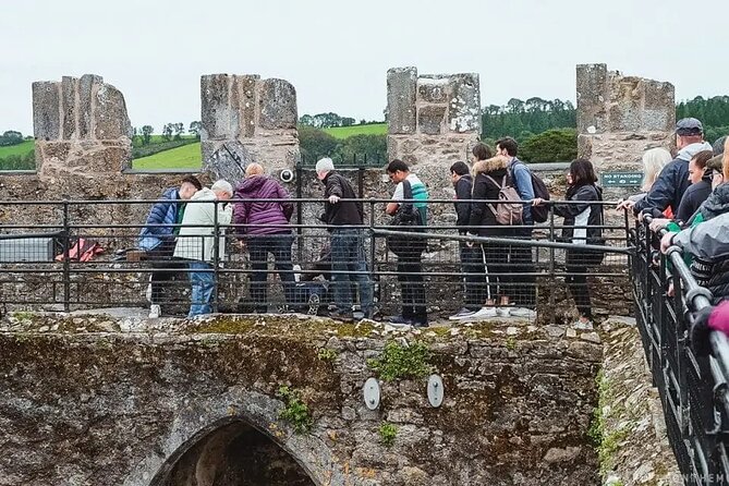 Easy Access Blarney Stone and Castle Gardens Tour - Starting in Blarney village