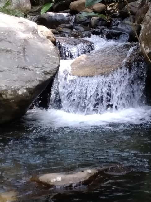 Ella: Cinnamon, Spice Garden & Waterfall tour - Key things to know before booking