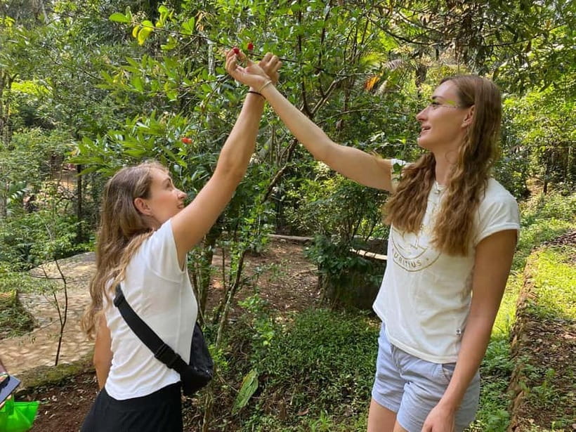Ella: Nine Arch Spice Garden Tour with Traditional Lunch - The cooking lesson brings the spices into focus