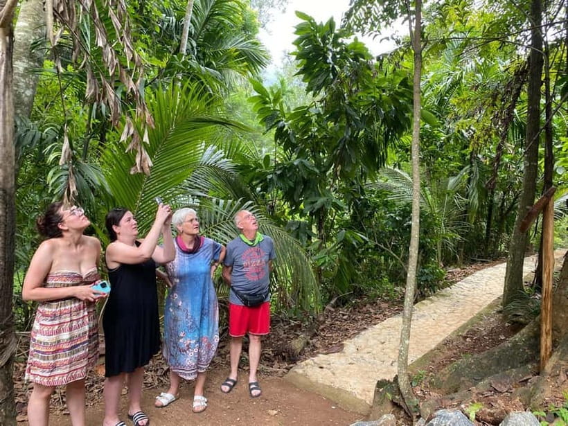 Ella: Nine Arch Spice Garden Tour with Traditional Lunch - Six curries and a traditional Sri Lankan lunch