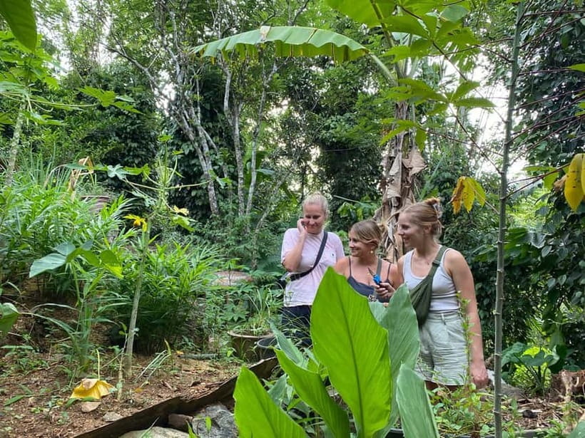Ella: Nine Arch Spice Garden Tour with Traditional Lunch - Timing, language, and booking flexibility