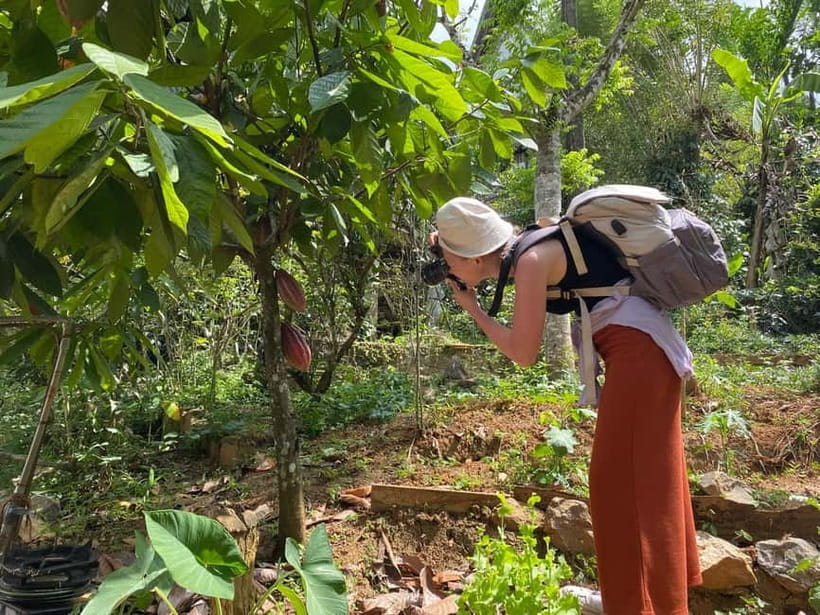 Ella: Nine Arch Spice Garden Tour with Traditional Lunch - Why the guide matters in a spice garden