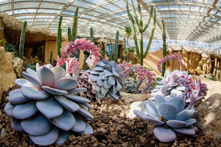 Erfurt: Egapark garden Entrance Ticket - Themed gardens reward a slower, curious walk