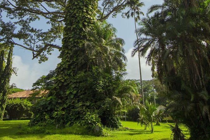 Escape Accra City to Aburi Gardens and Tetteh Quarshie Cocoa Farms - The Aburi craft village and the question of shopping