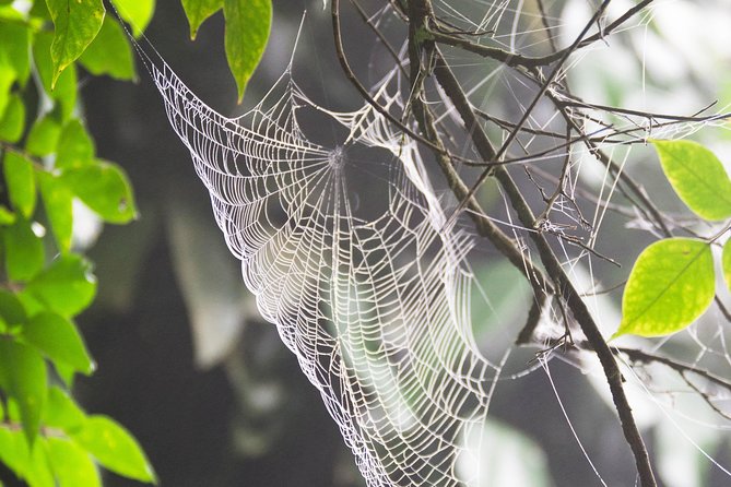 Escape Accra City to Aburi Gardens and Tetteh Quarshie Cocoa Farms - What the private format adds at $170
