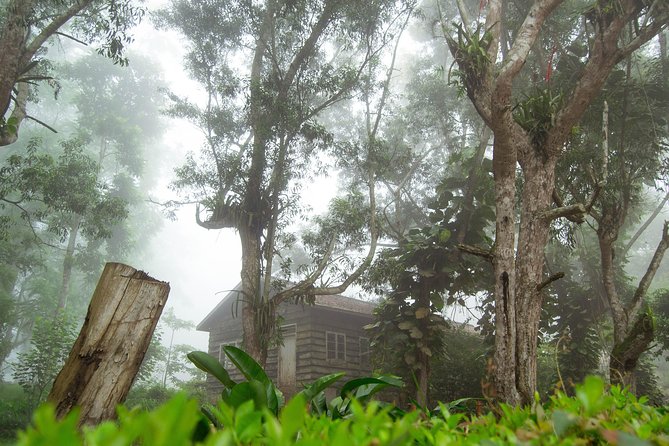 Escape Accra City to Aburi Gardens and Tetteh Quarshie Cocoa Farms - Who will enjoy this Accra escape most