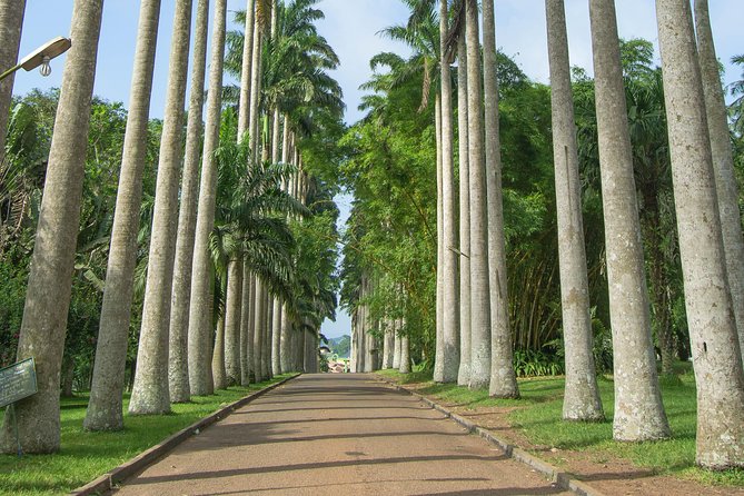 Escape Accra City to Aburi Gardens and Tetteh Quarshie Cocoa Farms - Two hours among rare plants at Aburi Botanical Gardens
