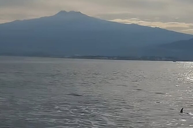 Excursions by boat: Gardens Naxos-Taormina-Isola Bella-DELFINI - Who will enjoy this boat trip most