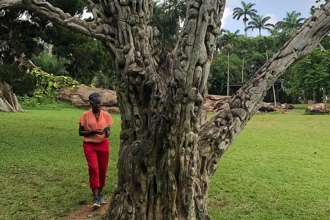 Experience Boti Waterfalls, Aburi Botanical Gardens & Tetteh Quarshie Cocoa Farm - Guides, vehicles, and the private-tour advantage