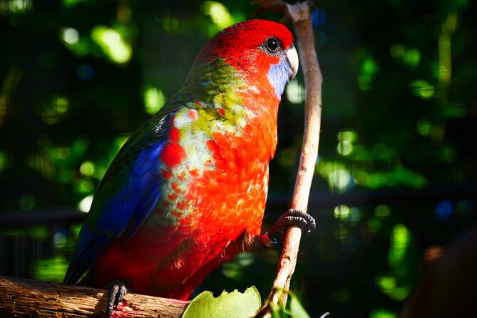 Explore gardens & galleries filled with incredible art, Matakana - Booking, timing, and practical details