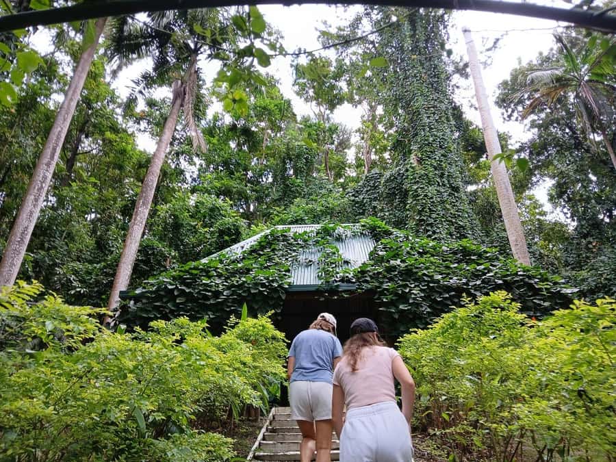 FIJI: Garden of the Sleeping Giant Tour - The drive through Sabeto Valley