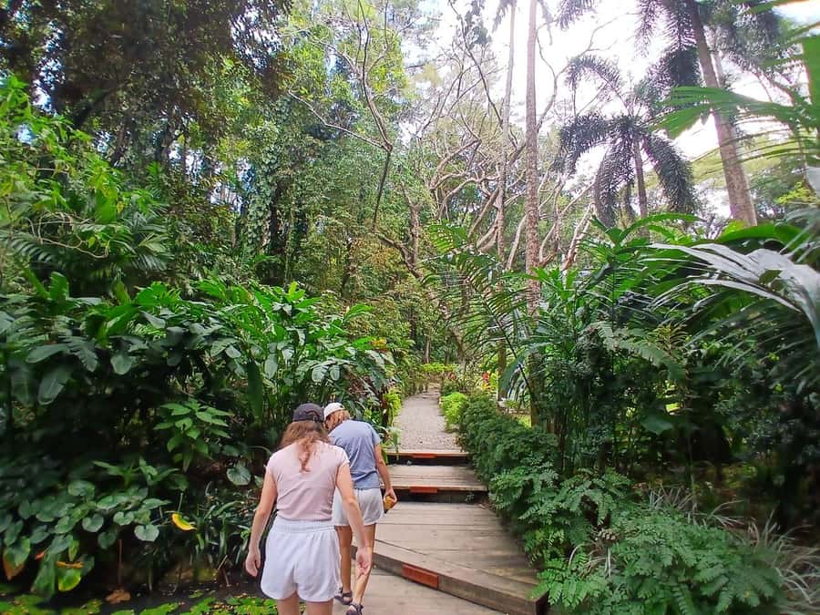 FIJI: Garden of the Sleeping Giant Tour - How the guided experience really works