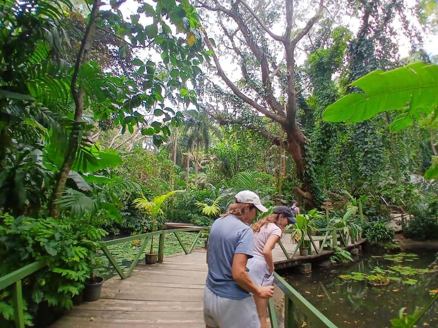 FIJI: Garden of the Sleeping Giant Tour - Is the 45-dollar price good value?
